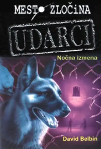 NOČNA IZMENA
