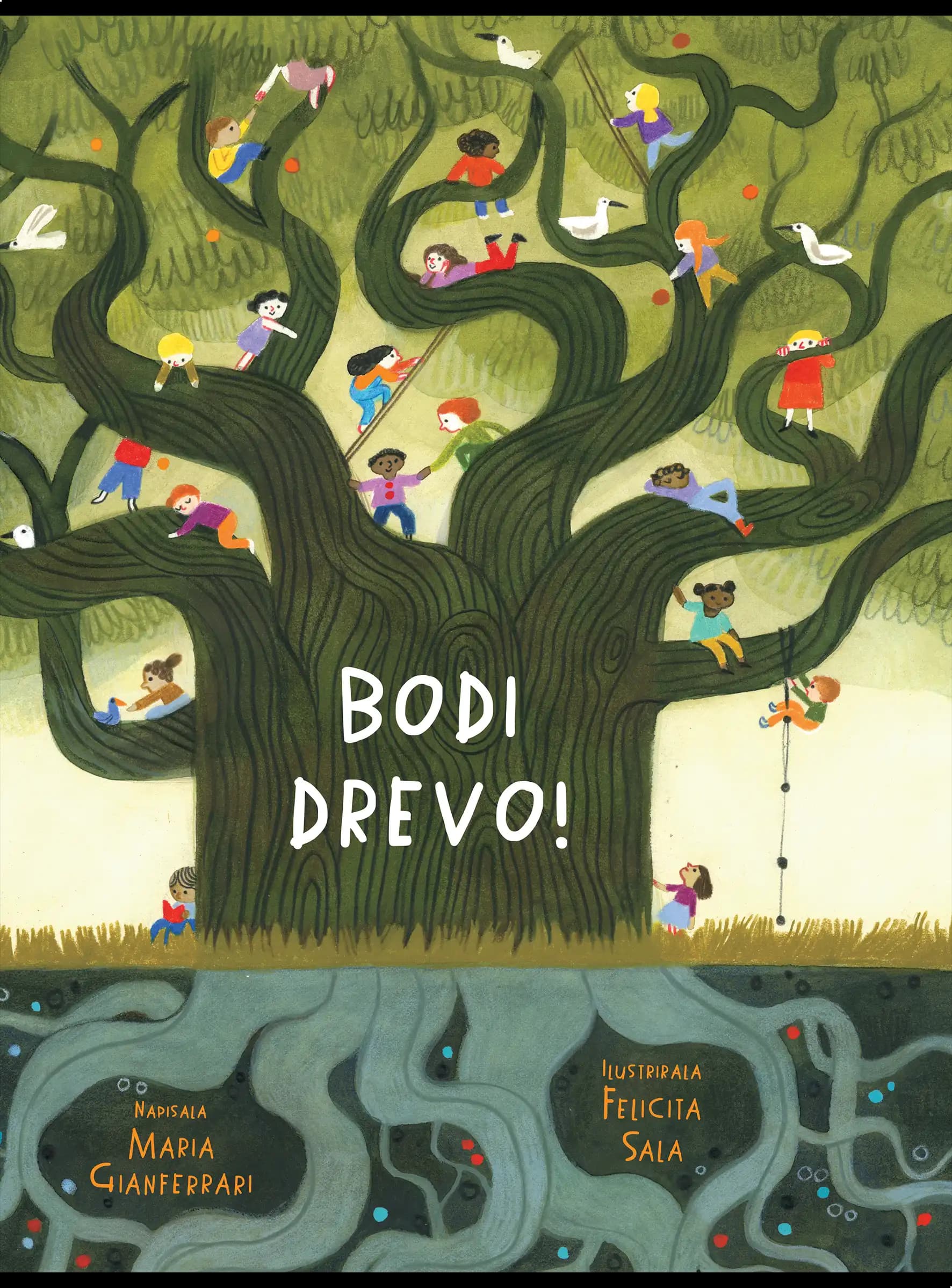BODI DREVO